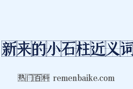 新来的小石柱近义词是什么意思的图片